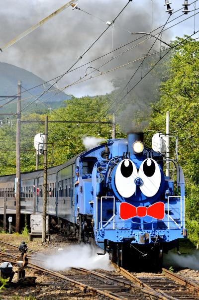 SLの旅シリーズ第23回目,大井川鐵道本線 ”SLくん C11 227号機