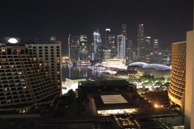 シンガポールGP 2010観戦 ~その1~