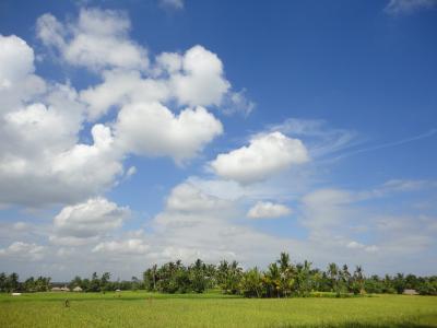2011バリ＆台湾・ウブド編②初・一人旅