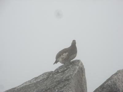 2012　常念岳　前常念岳の石室で急遽ビバーク！