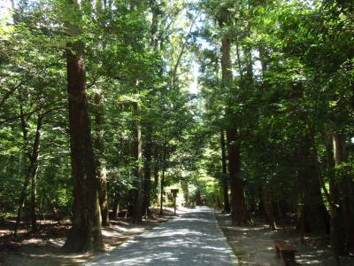 ちょっと遅めの夏休み旅行～三重県 瀧原・鳥羽（１）