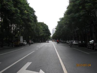 上海の昌平路・プラタナス並木路