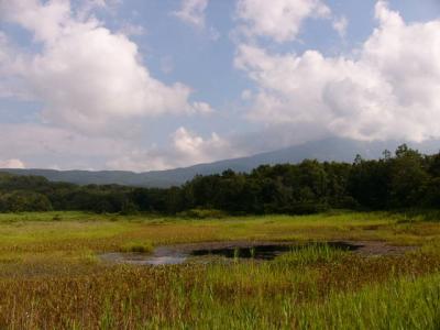 鳥海山ー桑の木台湿原散策