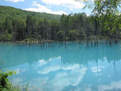 2012 おいしかったよ　北海道