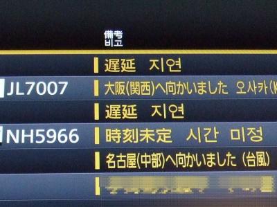 女二人でちょこっとバリ島　３泊５日　５日目最終日　「羽田を台風が直撃」の卷