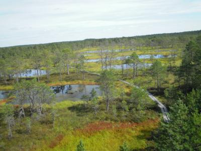 2012.8.15～8.24フィンランド・エストニア子連れ家族旅行⑦　8.21　レンタカーでラヘマー国立公園へ　