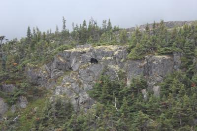 ゴールデンプリンセスで行くアラスカクルーズ3