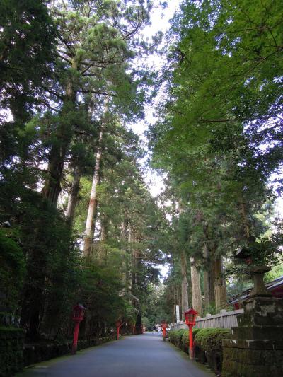 三島と箱根　その３