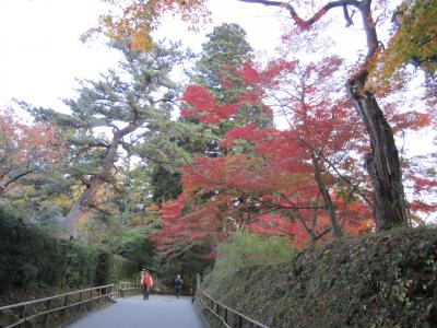 出張ついでの花巻・平泉