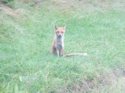 ２０１２　ＪＡＬで行く北海道　道東巡り