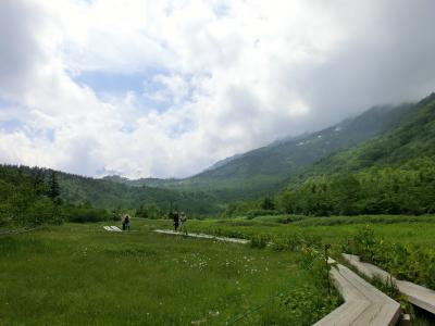 栂池自然園ハイキング♪