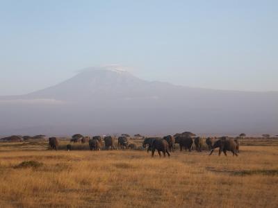 2012夏　ケニア旅行8日間　1・2日目