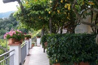 アマルフィエリア・レモン農園のアグリツーリズモに滞在