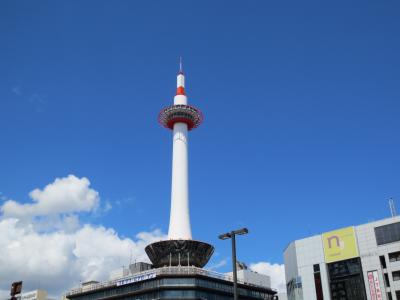 夏の京都は暑かった！