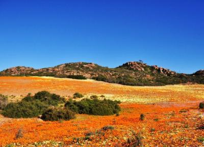 ナマクアランドに関する旅行記 ブログ フォートラベル 南アフリカ共和国 Namaqualand