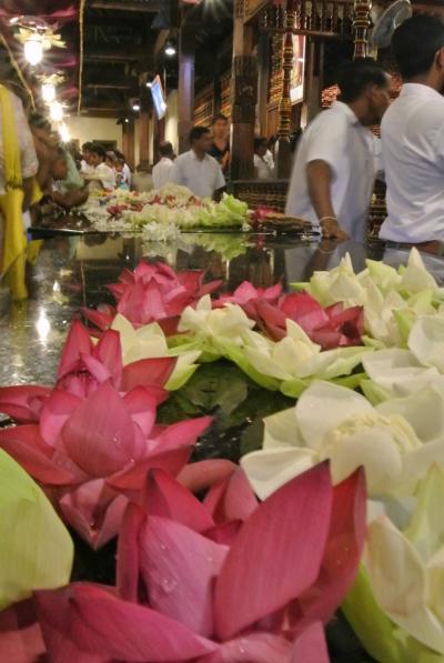 スリランカの素敵てんこ盛り旅vol.1(キャンディ編)