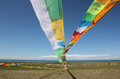 東チベット　青海省周遊の旅（７）～青海湖・チベット寺院編～