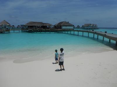 センターラモルディブ～ジンベエザメに会う～