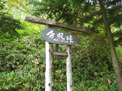 日本三大パワースポット ゼロ磁場で有名【分杭峠】 気場へ挑む』伊那(長野県)の旅行記・ブログ by ねこにゃんさん【フォートラベル】 日本三大パワースポット ゼロ磁場で有名【分杭峠】 気場へ挑む』伊那(長野県)の旅行記・ブログ by ねこにゃんさん【フォートラベル】