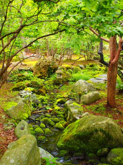 温泉旅館・銀婚湯★帰り際に庭園散策