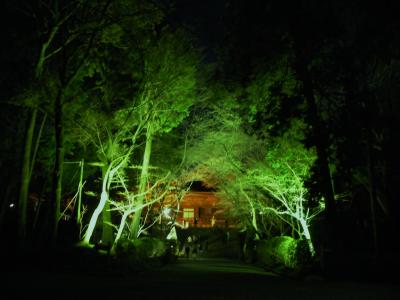 ～旅風に誘われて50～　琵琶湖ぐるっと一周桜めぐりBYクラブツーリズム