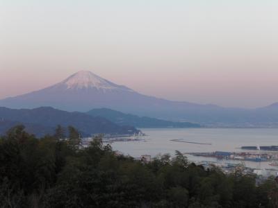 新年の富士を日本平から観る