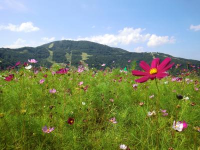 残暑疲れは温泉でリセット♪　ＮＡＳＰＡニューオータニで美食ビュッフェと温泉の休日