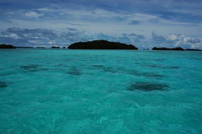 201108ダイバーのメッカ、初パラオ