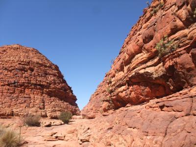 オーストラリア(レッドセンター)激走4600kmレンタカーの旅③（キングス・キャニオン～ウルル)