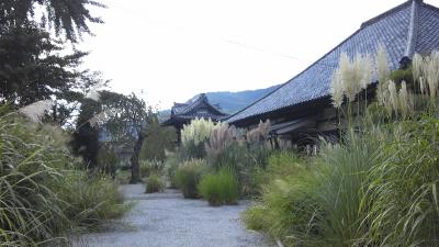 七草寺(どの寺もそれぞれ)