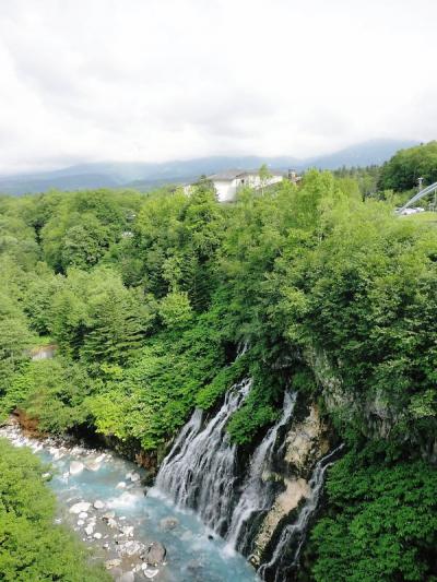 '12オフ会にかこつけた北海道初一人旅～⑧「５日目後半，バスで美瑛から旭川，そして宿泊・・」