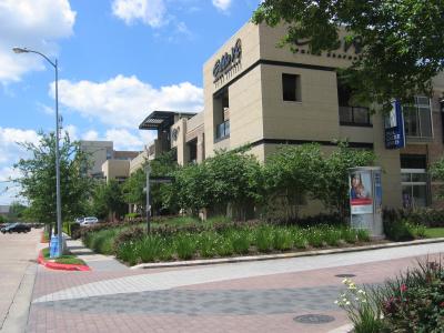 ヒューストン西部、Bluebonnet、3度目の里帰り