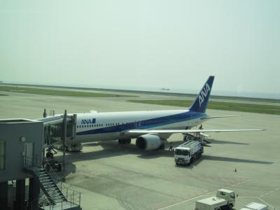 息子ファミリーと沖縄へ