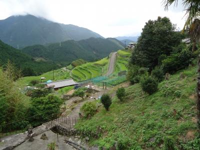 丸山千枚田と那智の滝を見たくて（那智の滝と丸山千枚田）