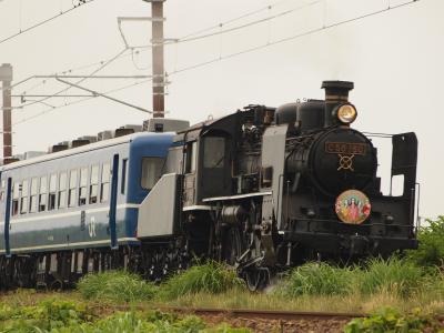 初夏のSL（北びわこ号）