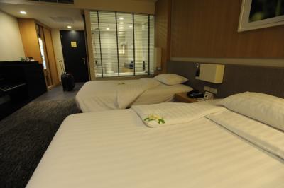 ホテルステイ・イン・ネパールと女子アナたち