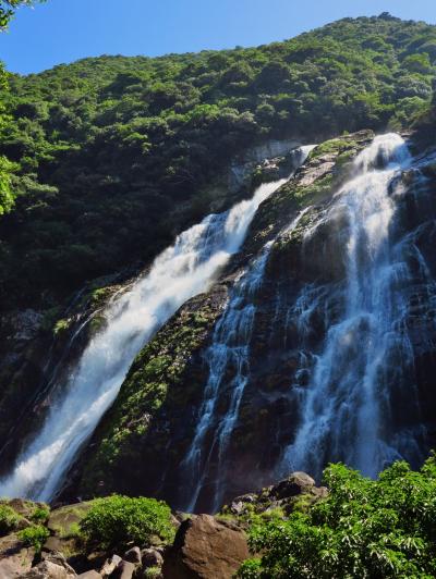 屋久島-5　大川の滝、水量多く88mを落下　☆滝壺近くで迫力を体感