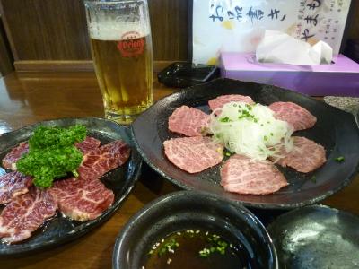 第8回 八重山旅行①