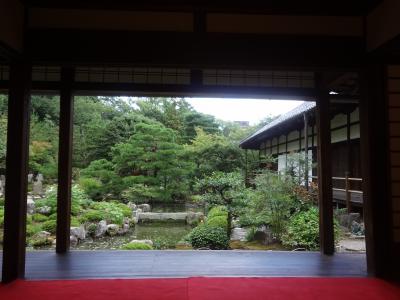 99年目の特別公開と夢窓国師庭園（２）　京都市～等持院～