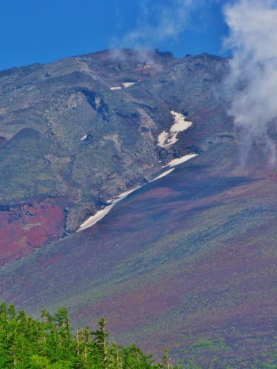 富士山-3　五合目奥庭自然公園　山頂見えた！　☆天地の境コースで