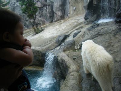 乳幼児（７ヵ月）と一緒に旭川＆富良野＆小樽への旅♪