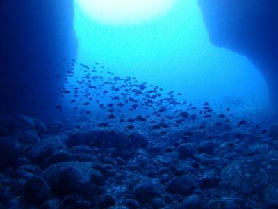 小笠原諸島～☆母島でダイビング三昧☆～