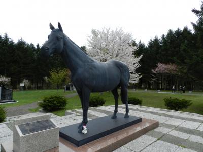『桜舞馬公園』でお花見！◆2012年5月は北海道へ花見に行こう！【その３】