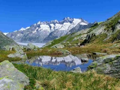 スイスハイキング２０１２（アレッチ氷河：ホーバルム～Roti Chumme）