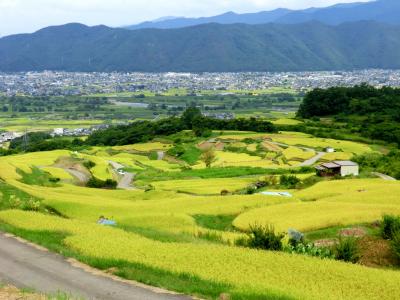 実りの秋を迎えた 姨捨棚田 ★