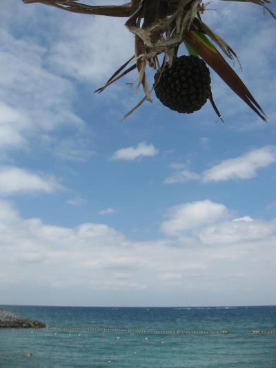 秋休みに沖縄♪小学生の子と行く家族旅行♪１日目