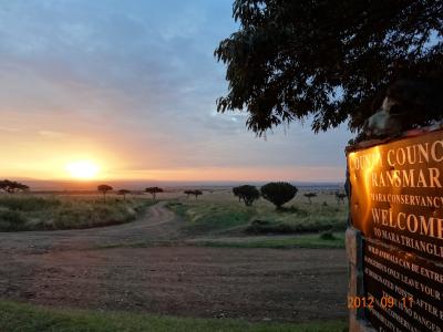 満喫☆ケニア・サファリ+ドバイ 8日間~③マサイマラその2編