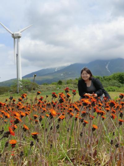 ~プロペラ機に乗りたくて~初めての離島 利尻島2泊3日の旅 その3【最終日】