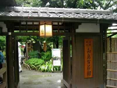 雨の日の向島百花園