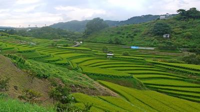 2012.9富田林・堺出張旅行2-千早赤阪村へ，金剛山ロープウェイ，下赤坂の棚田